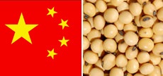 exportaes china