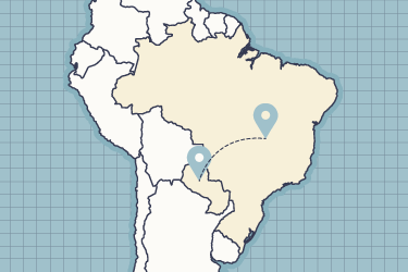 brasil paraguai certificado de origem arte rafael araujo fibra