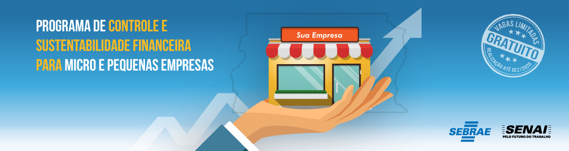 Programa Gestao Fianceira MPE