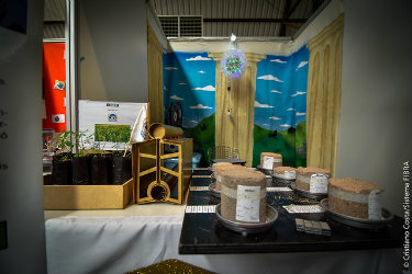 Projetos propõem soluções para descarte ou reaproveitamento do lixo