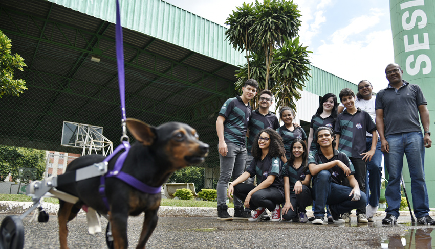 robotica cachorro corpo