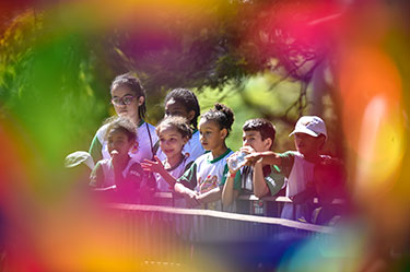 Mais de cem crianças curtiram as férias no Sesi-DF