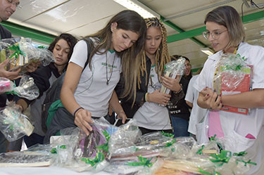 Troca de livros incentiva o hábito da leitura em Sobradinho