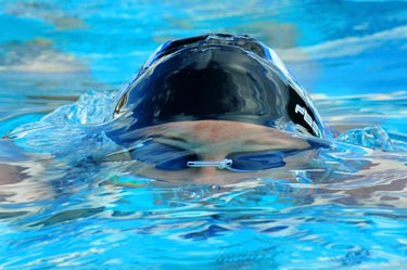 Prêmio Brasília Esporte presta reconhecimento a atletas e a técnicos