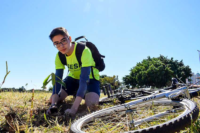 virada cultural sesi plantio mudas