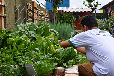 Cozinha Brasil no Vira Vida 3