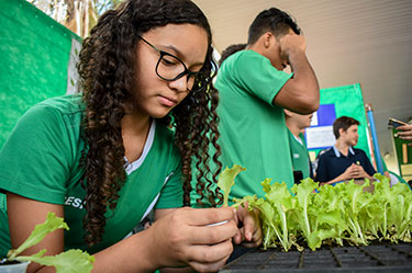 Mostra de Ciencia e Tecnologia 01