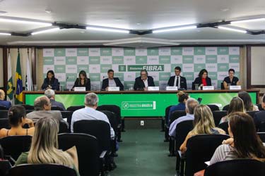 Programa de Integridade do Sistema Fibra é detalhado a gestores