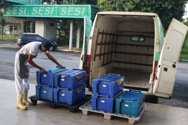 CPA FotoMoacirEvangelista17022020 2